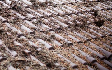 Chignall St James roof cleaning companies