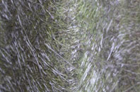 Chignall St James fibreglass roof work